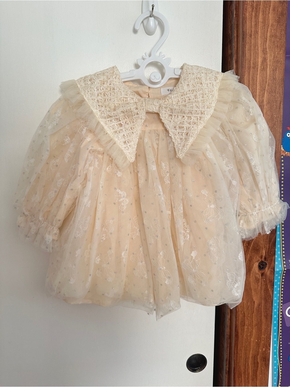 Toddler girl dress embroidered lace collar sheer tulle overlay Sz 2T/3T NWOT
